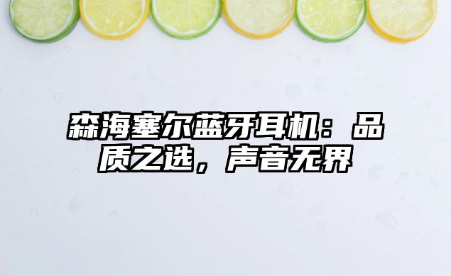 森海塞爾藍牙耳機：品質之選，聲音無界