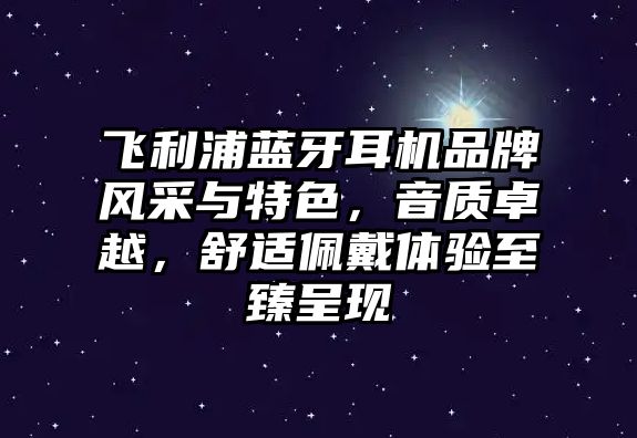 飛利浦藍(lán)牙耳機(jī)品牌風(fēng)采與特色，音質(zhì)卓越，舒適佩戴體驗(yàn)至臻呈現(xiàn)