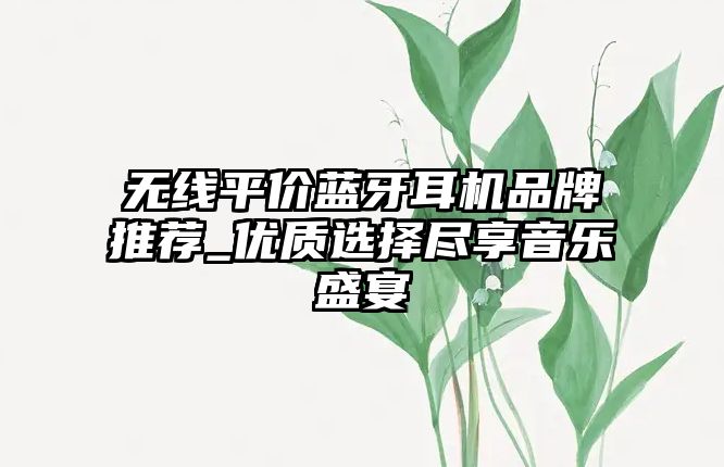 無線平價藍(lán)牙耳機品牌推薦_優(yōu)質(zhì)選擇盡享音樂盛宴