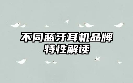 不同藍(lán)牙耳機品牌特性解讀