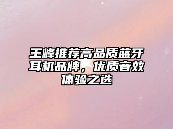 王峰推薦高品質(zhì)藍(lán)牙耳機(jī)品牌，優(yōu)質(zhì)音效體驗(yàn)之選