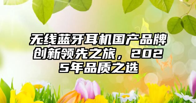 無線藍(lán)牙耳機(jī)國產(chǎn)品牌創(chuàng)新領(lǐng)先之旅，2025年品質(zhì)之選