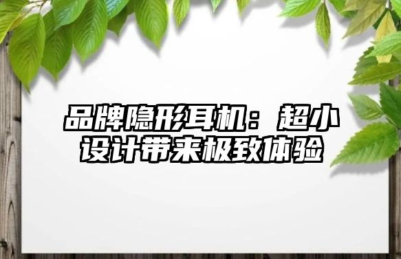 品牌隱形耳機(jī)：超小設(shè)計帶來極致體驗