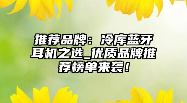 推薦品牌：冷庫藍(lán)牙耳機之選_優(yōu)質(zhì)品牌推薦榜單來襲！
